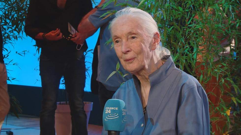 La célèbre primatologue britannique Jane Goodall est morte à l'âge de 91 ans
