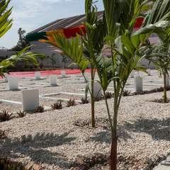 Massacre de Thiaroye : un Livre blanc remis jeudi au président sénégalais Diomaye Faye Massacre de Thiaroye : un Livre blanc remis jeudi au président sénégalais Diomaye Faye