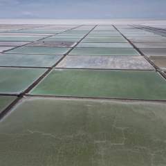 Lithium : le nouveau président de Bolivie peut-il relancer le rêve de l'or blanc ? Lithium : le nouveau président de Bolivie peut-il relancer le rêve de l'or blanc ?