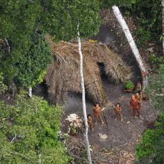 Ces dangers mortels qui pèsent sur l'avenir des 200 peuples non contactés Ces dangers mortels qui pèsent sur l'avenir des 200 peuples non contactés