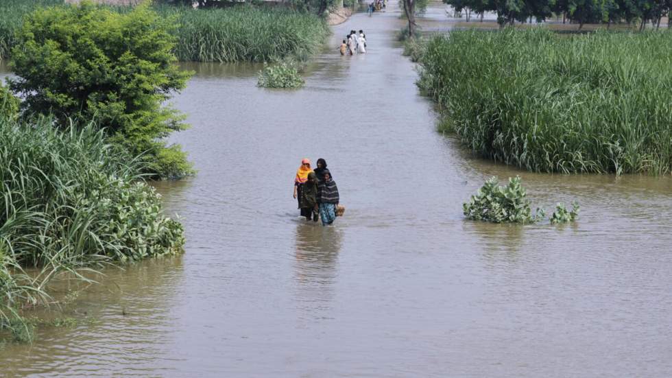 Des paysans du Pakistan engagent un bras de fer avec deux pollueurs allemands Des paysans du Pakistan engagent un bras de fer avec deux pollueurs allemands