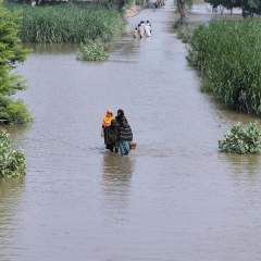 Des paysans du Pakistan engagent un bras de fer avec deux pollueurs allemands Des paysans du Pakistan engagent un bras de fer avec deux pollueurs allemands