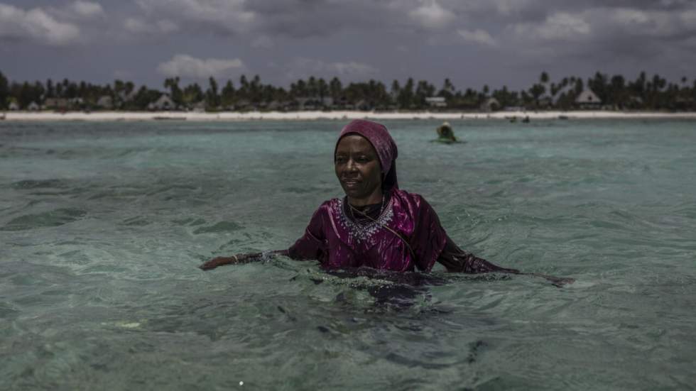 L'instant + : la culture d'éponges de mer à Zanzibar bénéficie aux femmes et à l'Océan L'instant + : la culture d'éponges de mer à Zanzibar bénéficie aux femmes et à l'Océan