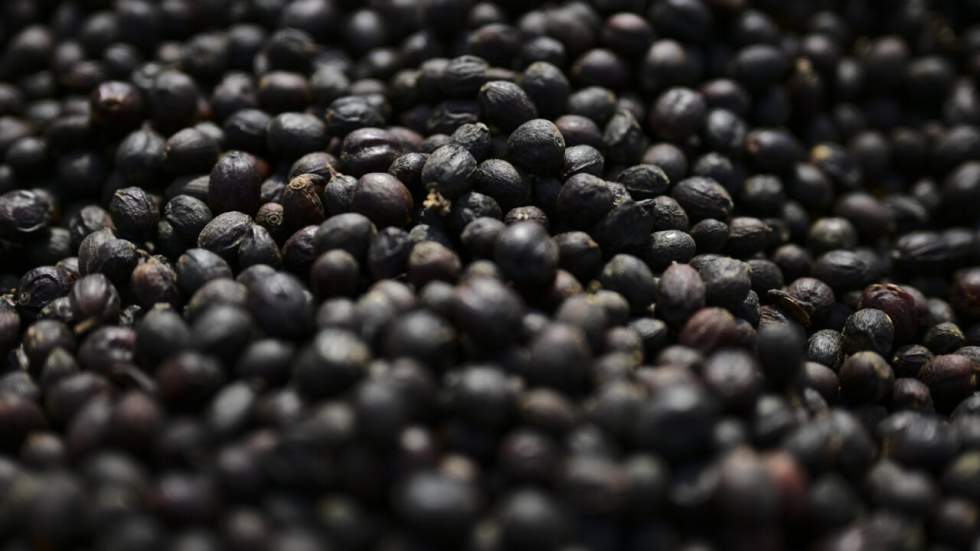 Sous pression pour alléger le coût de la vie, Trump renonce à une partie de ses droits de douane Sous pression pour alléger le coût de la vie, Trump renonce à une partie de ses droits de douane