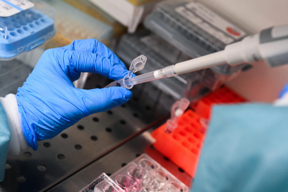 Cancers, immunité : les chercheurs de l'Inserm à Orléans explorent les promesses de l'ARN messager