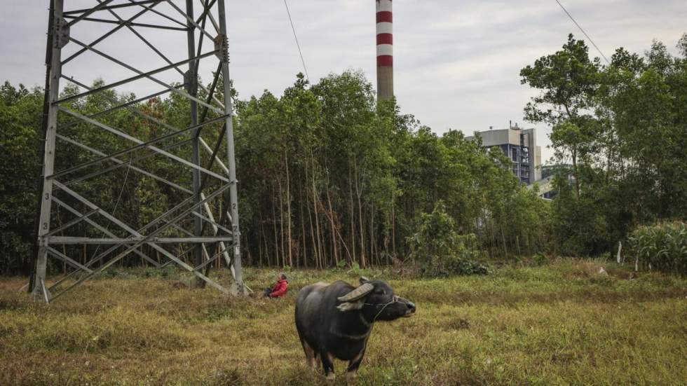 COP30 : haro sur le méthane, "levier primordial" contre le dérèglement climatique COP30 : haro sur le méthane, "levier primordial" contre le dérèglement climatique