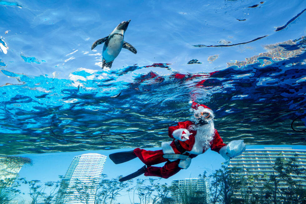 Trump Prix de la paix de la Fifa, le pape au Liban, rencontre Modi-Poutine : la semaine en images