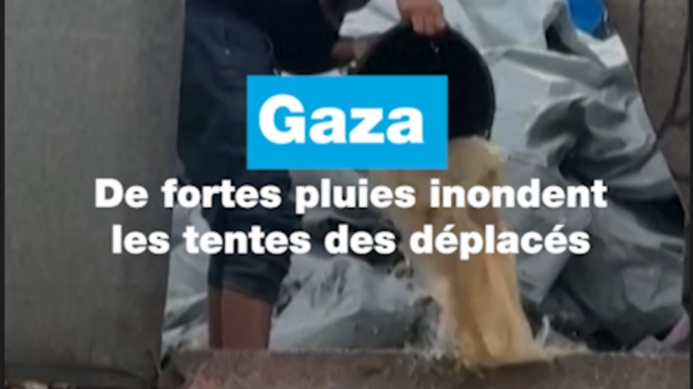 Israël refuse un simple "gel" de l'armement du Hamas à Gaza, qui doit être "démilitarisée" Israël refuse un simple "gel" de l'armement du Hamas à Gaza, qui doit être "démilitarisée"