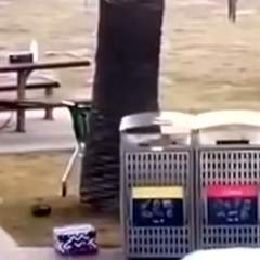 Attaque en Australie : ce que l’on sait du "héros" qui a désarmé l'un des tireurs