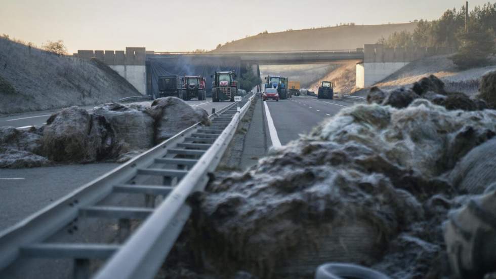 Epidémie bovine en France : la ministre de l’Agriculture sous pression des éleveurs du Sud-Ouest Epidémie bovine en France : la ministre de l’Agriculture sous pression des éleveurs du Sud-Ouest