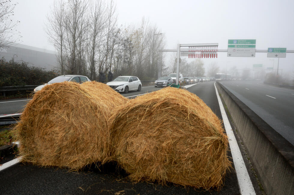 Epidémie bovine en France : la ministre de l’Agriculture sous pression des éleveurs du Sud-Ouest Epidémie bovine en France : la ministre de l’Agriculture sous pression des éleveurs du Sud-Ouest
