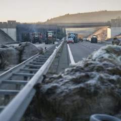 Epidémie bovine en France : la ministre de l’Agriculture sous pression des éleveurs du Sud-Ouest