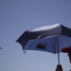 En France, l'année 2025 encore parmi les plus chaudes de l'histoire