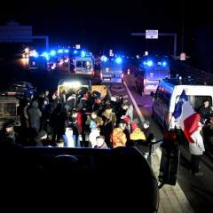 Epidémie bovine en France : Lecornu veut accélérer la vaccination contre la dermatose