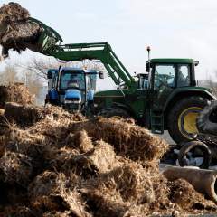 Dermatose : entre abattage et vaccinations, des impératifs sanitaires et commerciaux