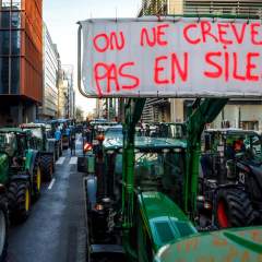 Des milliers d'agriculteurs attendus à Bruxelles pour protester contre l'accord avec le Mercosur