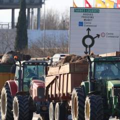 Dermatose nodulaire : la vaccination des bovins progresse, des blocages persistent