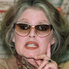 L'icône Brigitte Bardot, de la cause animale à l’extrême droite