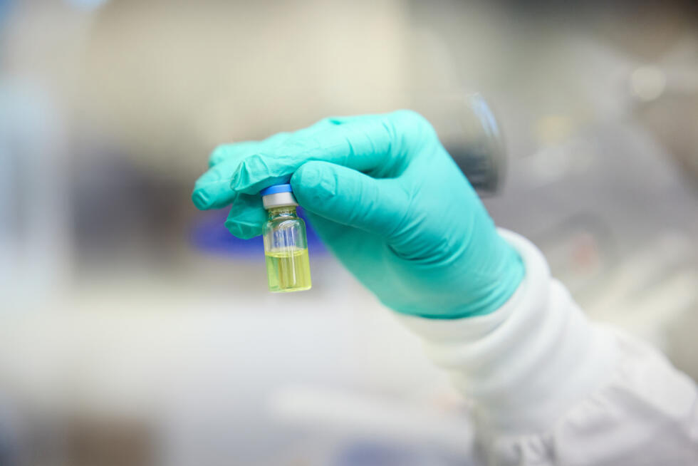 Les bonnes nouvelles qui nous ont mis du baume au cœur en 2025