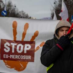 L'Union européenne se prononce en faveur du Mercosur, multiples manifestations d'agriculteurs