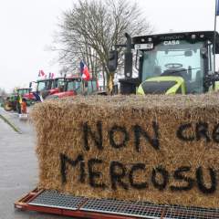Accord UE-Mercosur : des agriculteurs maintiennent la pression, visent des sites portuaires