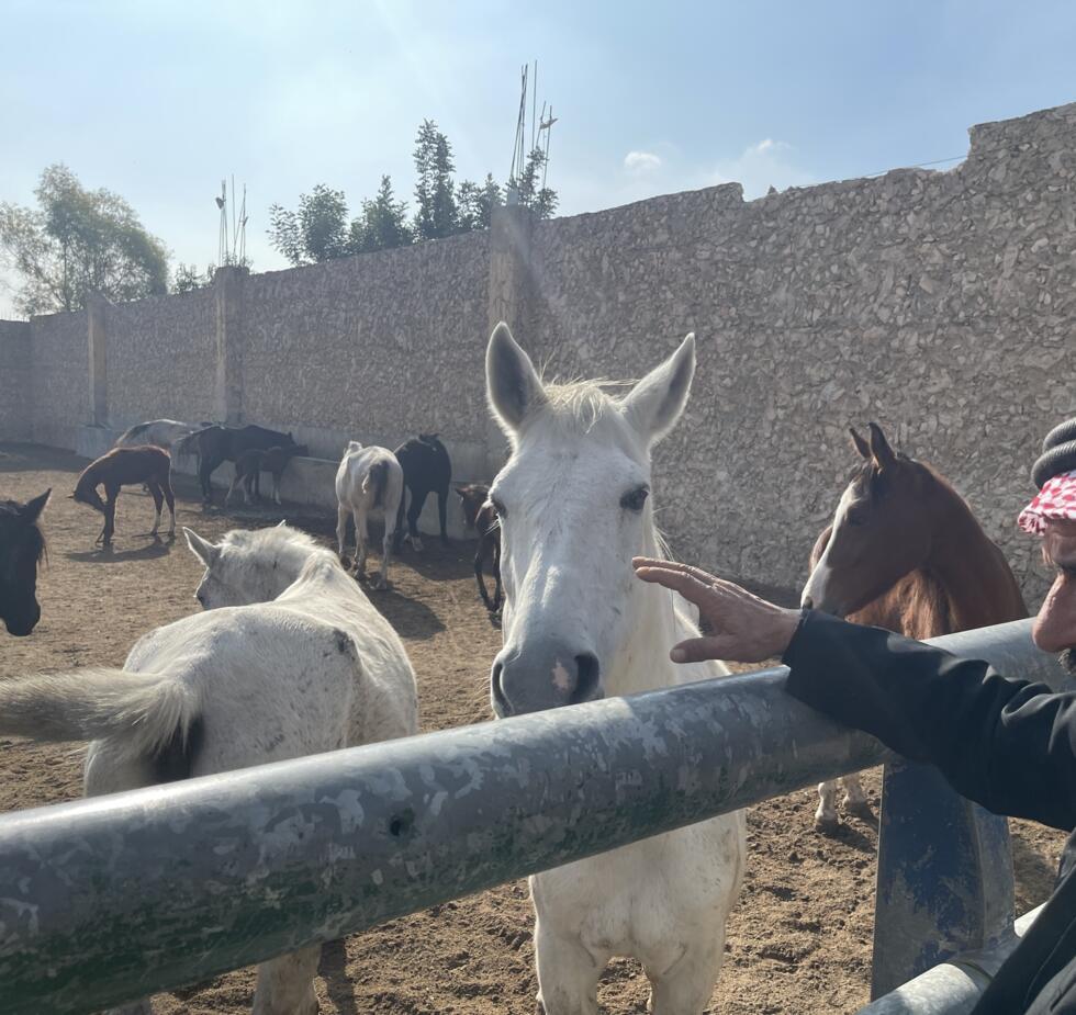 Syrie : les clans sunnites, clé de la stabilisation du pays pour le nouveau pouvoir