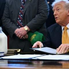 Donald Trump assure que les "tueries en Iran ont pris fin" mais reste flou sur une intervention