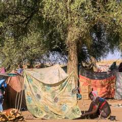 Soudan : l'aide alimentaire prendra fin en mars en l'absence de fonds supplémentaires, alerte l'ONU
