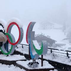 Que viennent faire en Italie les agents de la police américaine de l'immigration ?
