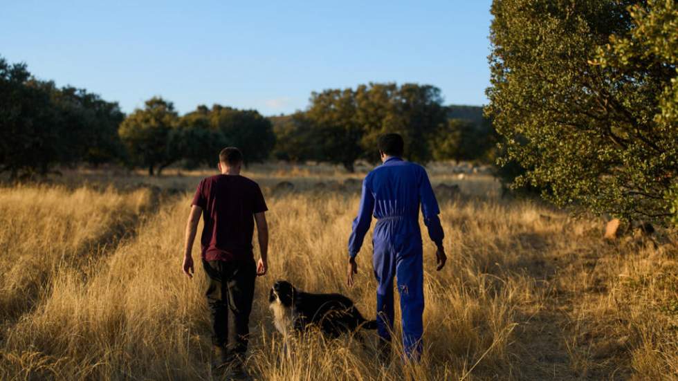Pourquoi l'Espagne régularise 500 000 migrants sans papiers Pourquoi l'Espagne régularise 500 000 migrants sans papiers