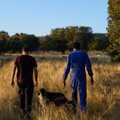 Pourquoi l'Espagne régularise 500 000 migrants sans papiers