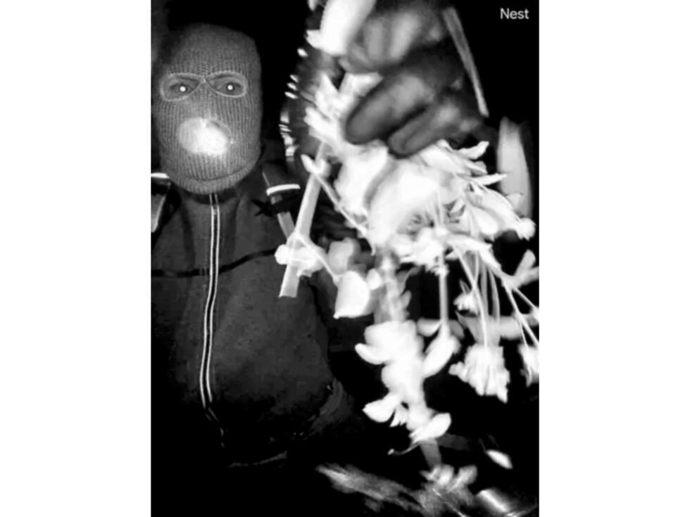 Enlèvement de la mère d'une journaliste télé américaine : une personne interpellée dans l'Arizona