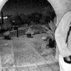 Enlèvement de la mère d'une journaliste télé américaine : une personne interpellée dans l'Arizona