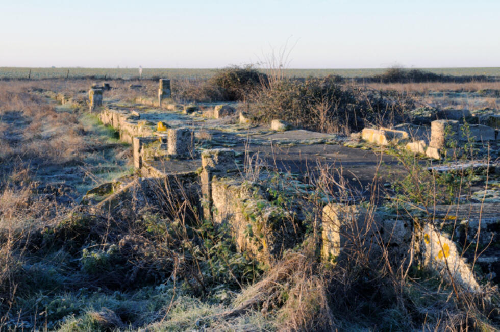 Internement et déportation des Tsiganes : la lente réparation d'une amnésie française
