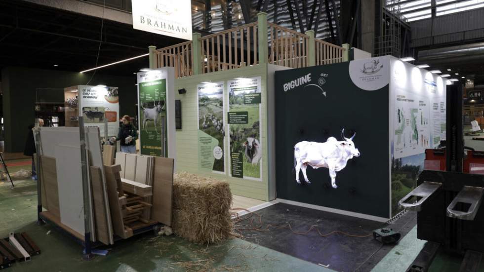 Salon de l’agriculture : une ouverture sous tension et sans vaches pour la première fois Salon de l’agriculture : une ouverture sous tension et sans vaches pour la première fois