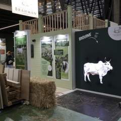 Salon de l’agriculture : une ouverture sous tension et sans vaches pour la première fois