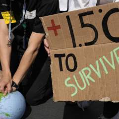 L'ONU donne son feu vert au premier projet de crédit carbone lié à l'accord de Paris