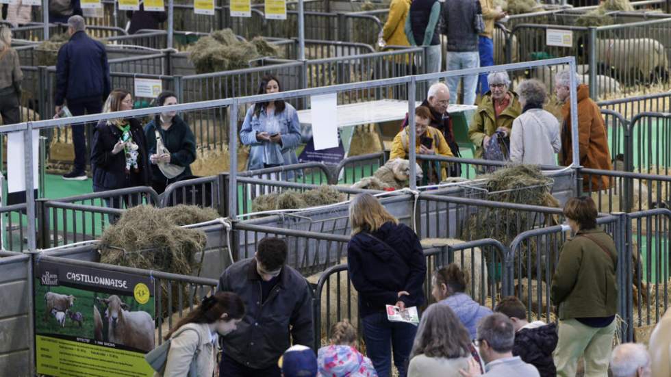 Salon de l’Agriculture : fréquentation en chute libre sur fond de crise et d’absence des bovins