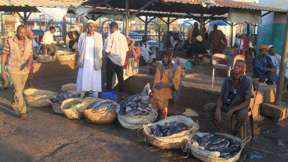 Soudan : Au moins 33 morts après des frappes de drones sur des marchés du Kordofan