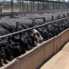 Quels sont les principaux points de l'accord commercial entre l'Australie et l'Union européenne ?