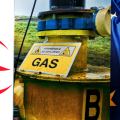 Crise du gaz : l'Algérie peut-elle compenser les besoins de l'UE ?