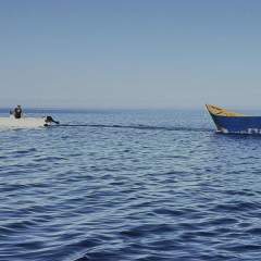 Plus de 70 migrants portés disparus après un naufrage en Méditerranée