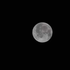 Les astronautes d'Artémis 2 ne sont plus qu'à quelques heures de la Lune