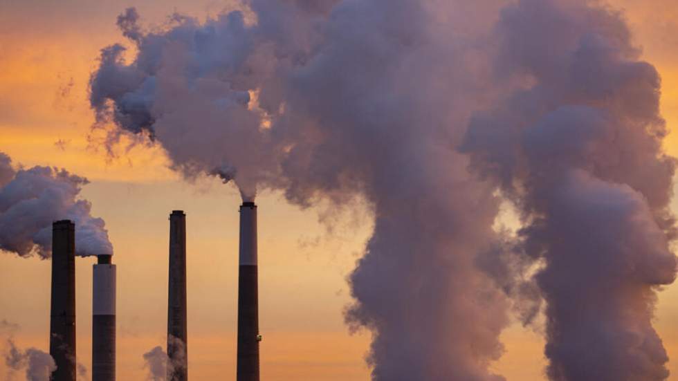 "One Health" : Emmanuel Macron à Lyon pour un sommet sur la santé et l'environnement "One Health" : Emmanuel Macron à Lyon pour un sommet sur la santé et l'environnement
