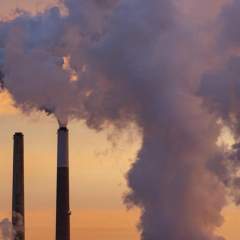 "One Health" : Emmanuel Macron à Lyon pour un sommet sur la santé et l'environnement