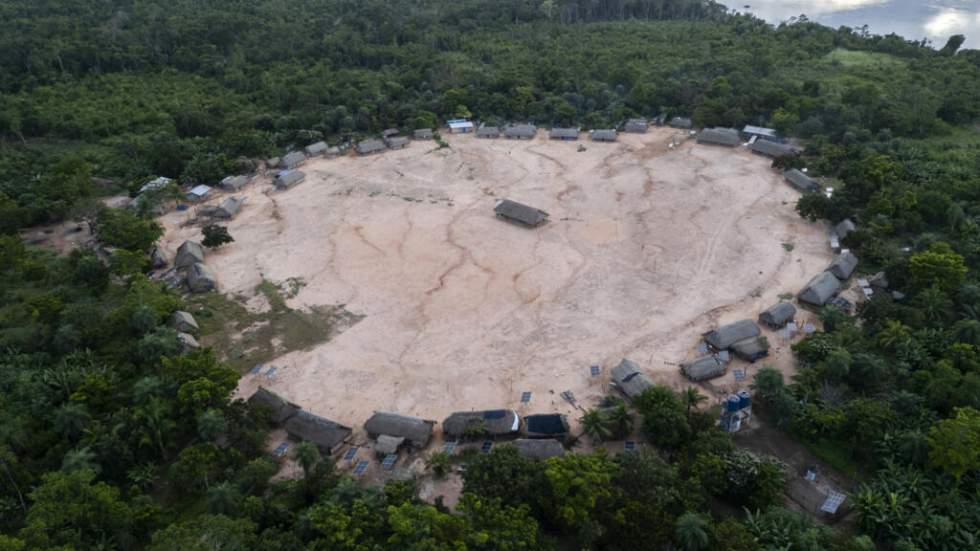 Sauver les forêts primaires : du Brésil à l'Indonésie, un combat aux avancées inégales