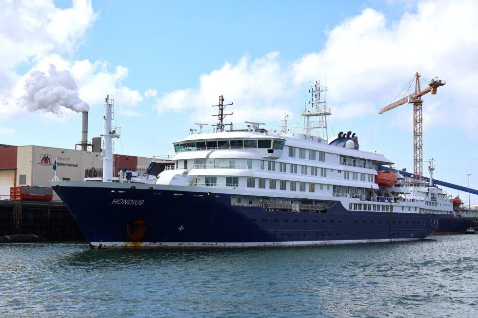 Qu'est-ce que le hantavirus, le virus responsable d'un possible cluster sur un navire de croisière ?