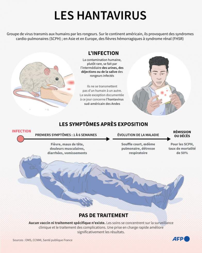 Hantavirus : évacuation de cas suspects en Europe, l'OMS se veut rassurante