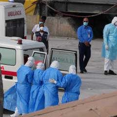 Hantavirus : l'Argentine retrace l'itinéraire du patient zéro et envoie des experts à Ushuaïa