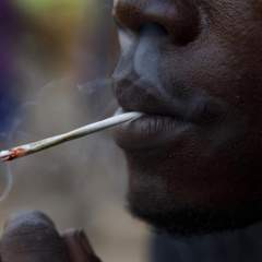 Comment l'industrie pharmaceutique indienne alimente la crise des opioïdes en Afrique de l'Ouest